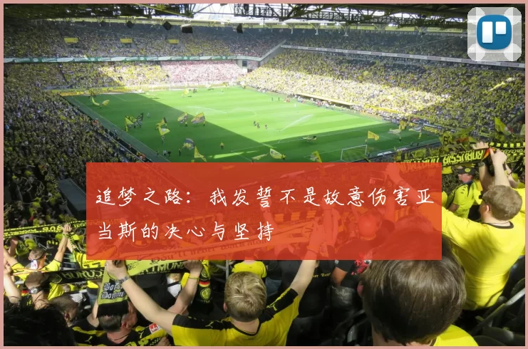 追梦之路：我发誓不是故意伤害亚当斯的决心与坚持